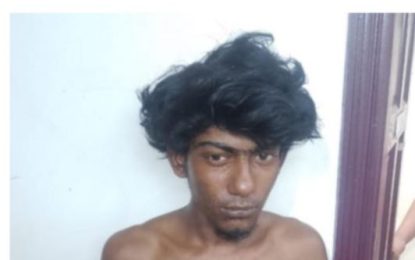 Duo charged with larceny on $100k bail each