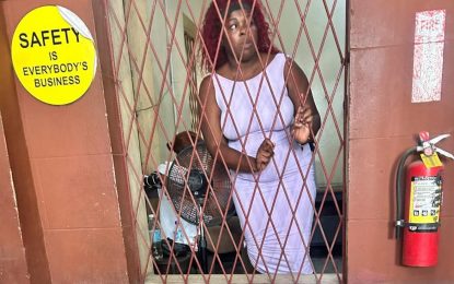 ‘Doggie’, ‘Fatta’ on $250,000 bail each for instigating fight