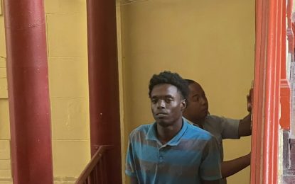 Duo charged with discharging firearm