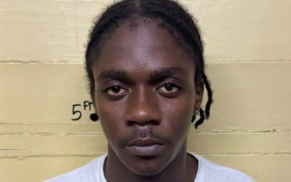 Teen on self-bail for larceny