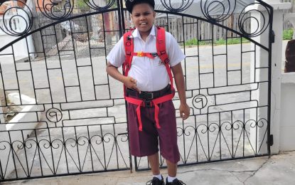 Health Ministry probing dengue-related death of 12-year-old boy