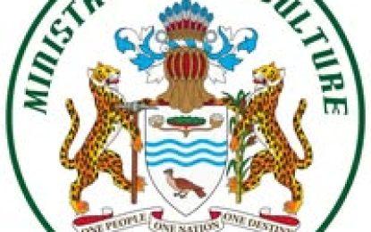 Agri. Ministry to spend $850M to rehabilitate section of Moleson Creek road