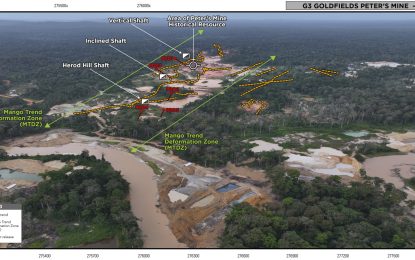 Canadian firm reports promising gold results at its Peters Mine