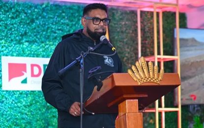 Foreign investors urged to contract local truckers