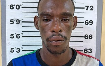 Man remanded for murder of Kaneville resident