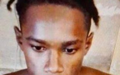 Teen arrested for murder of Soesdyke man