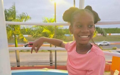 Foreign pathologists seek review of Adriana’s PME recording, possible examination of body