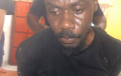 Bandit shot by Police while trying to escape