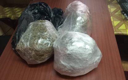 Two arrested after weed bust at Cove and John, ECD