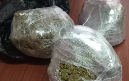 Duo in Cove and John weed bust remanded