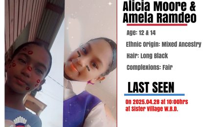 Two young girls reported missing