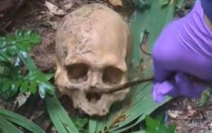 Suspected remains of missing hunters found in South Rupununi