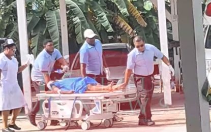 Teen killed in Essequibo Coast minibus accident
