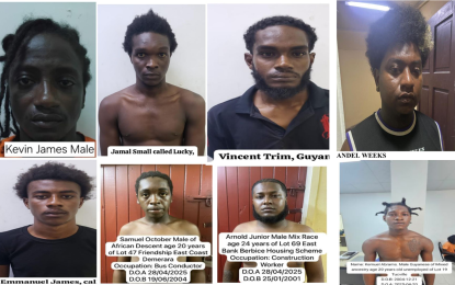 42 on terrorism, robbery charges