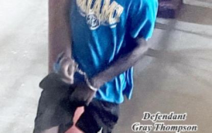 Man remanded for armed robbery  