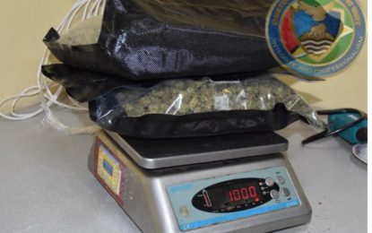 Foreign weed shipped from the U.S. in barrel