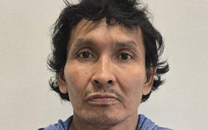 Gold miner gets one-year sentence for unlawful wounding