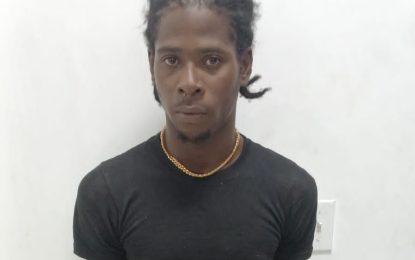 Labourer remanded for larceny