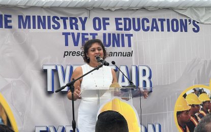 Education Minister calls ‘Critic’ an idiot