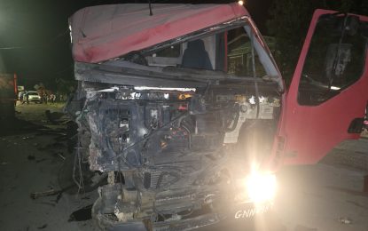 Essequibo truck driver dies in truck crash