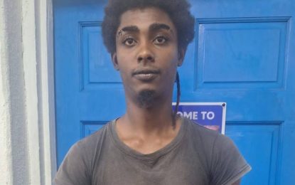Cop beater slapped with 10 charges