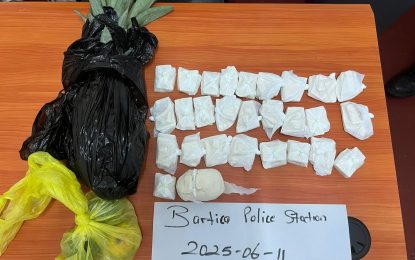 Man arrested with 875 grams of cocaine, implicates friend