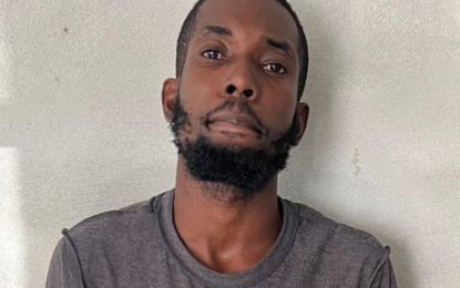 Security guard who stole cement mixer gets two years in jail