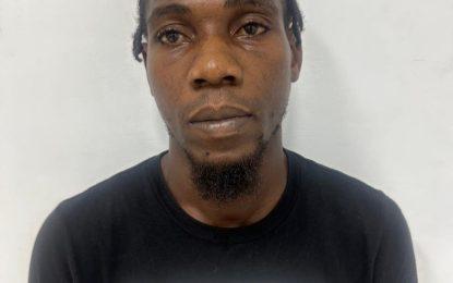 Mason gets $1 million bail for break and enter and larceny