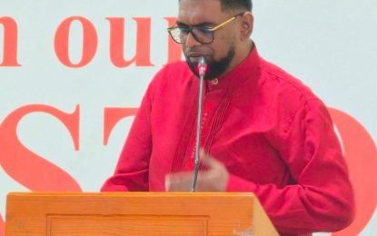 Govt to set up US$200M fund for small, medium sized enterprises -President Ali