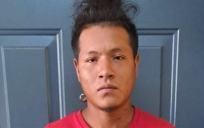Teen gets three months in jail for wounding farmer