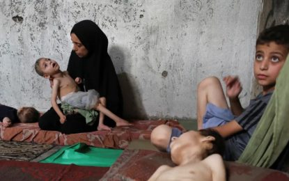 Death toll from starvation in Gaza rises to 115 as Israeli attacks continue