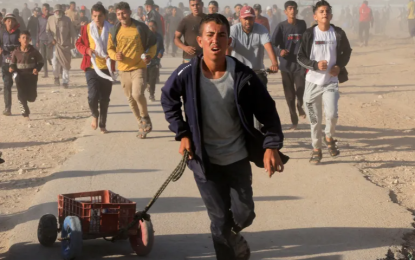 ‘Going hungry’: More than 700 Palestinians killed seeking aid in Gaza