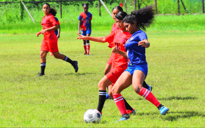 Quarterfinals hunt schedule for today at MoE