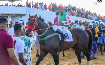 Slingerz Racing stable dominates J’s Summer Stakes