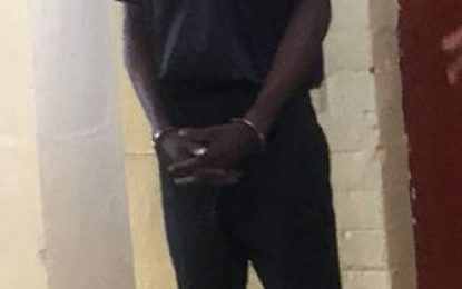 Charlestown man on $300k bail for firearm, ammo charge
