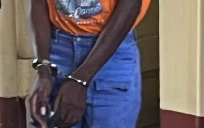 ‘Lilwattie’ gets $80,000 bail for robbery with violence