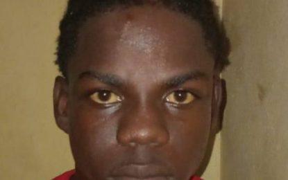 Linden teen sentenced to 24 months for possession of unlicenced firearm