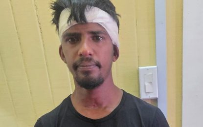 Lima Sands farmer charged for allegedly killing friend