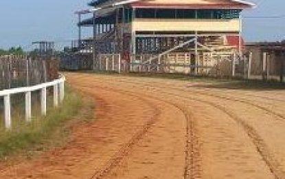 Colin Elcock Delmur Company and Trophy Stall among top sponsors for Kennard Memorial Turf Club Emancipation Horse Race meet