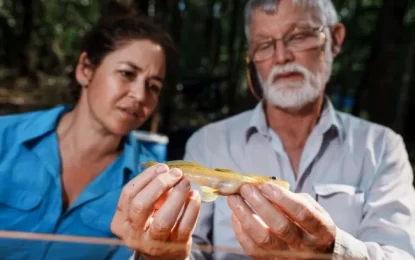 Dozens of new species found during biodiversity survey in Guyana