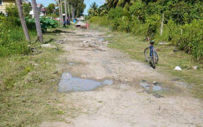 Gov’t to spend $1B to upgrade Cane View Avenue
