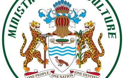 Govt. to spend $2.7B to construct drying facility for Reg. 2