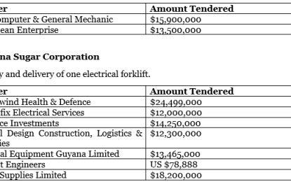 Bids open for design & supervision of modern market facility at Bourda