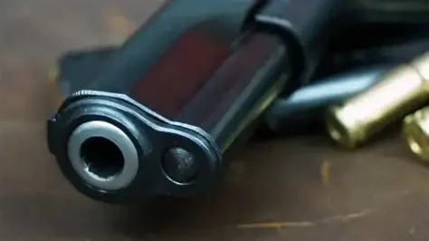 Five arrested for gun and ammo found in house