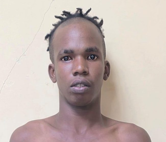 Alleged serial burglar remanded