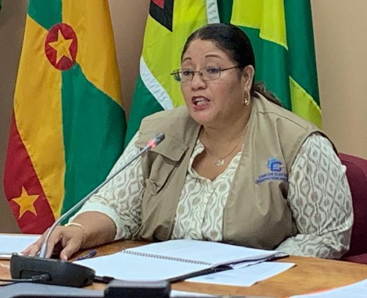 Campaign financing law will help foil use of State resources – CARICOM Observer Mission
