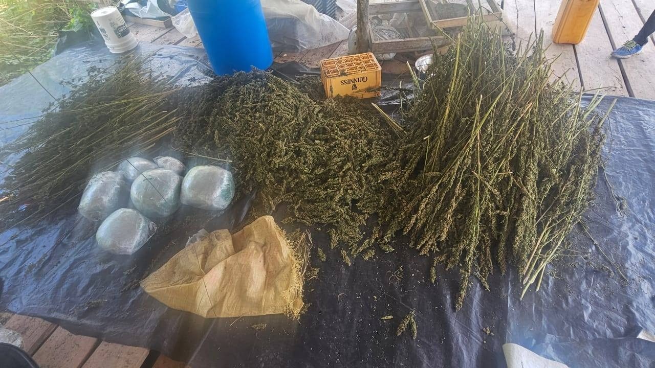 Cop set on fire $409 million worth of ganja