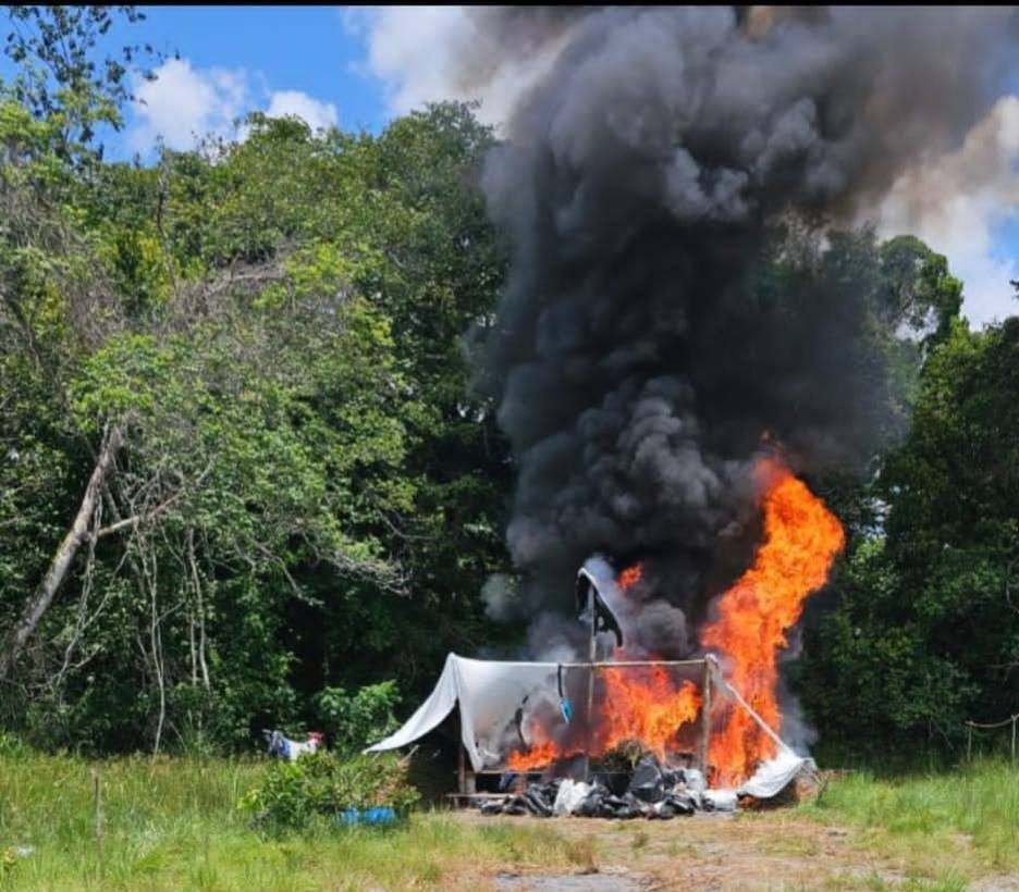 Police burn over $700M in ganja during raid