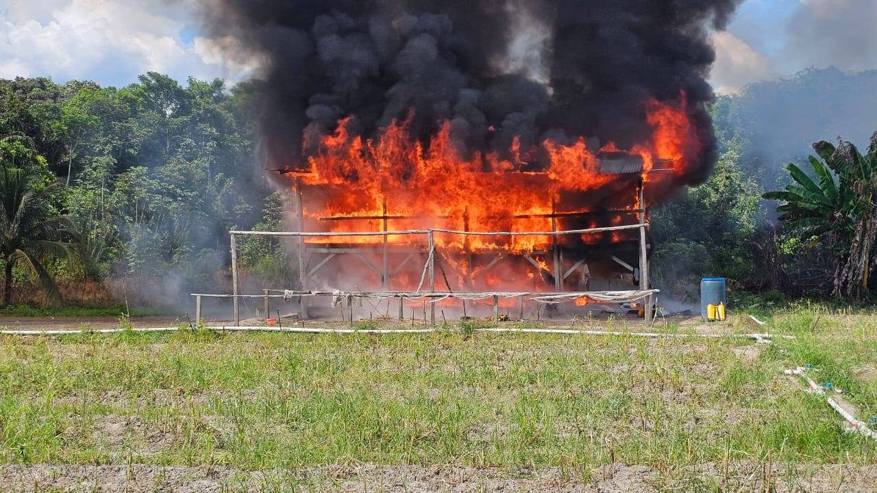 Cops destroy more than $1B worth of ganja