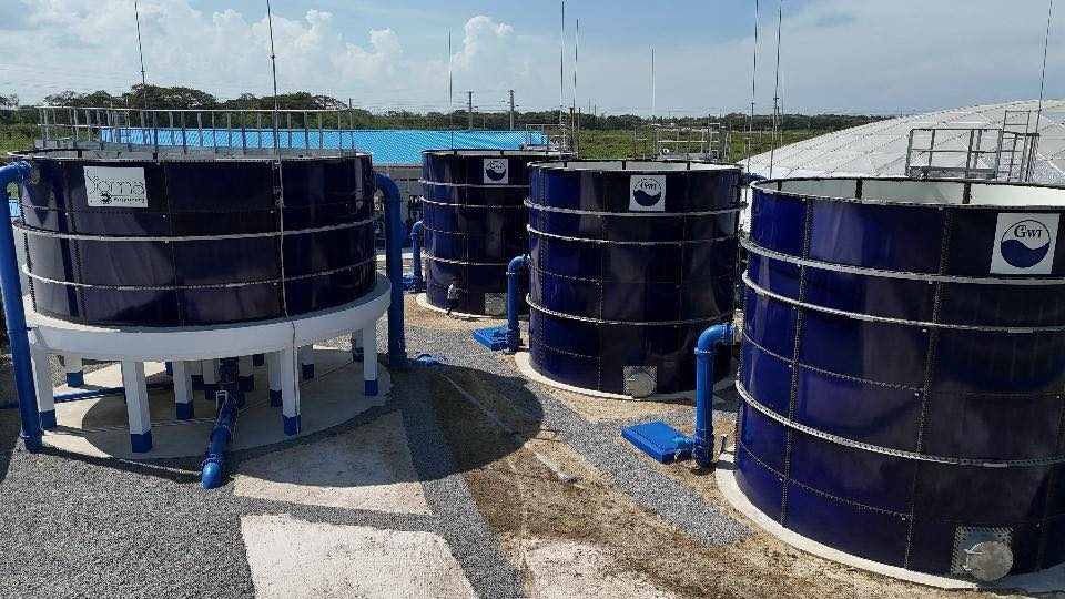 New $1.3B Cummings Lodge water treatment plant commissioned